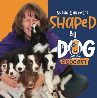 Shaped by Dog