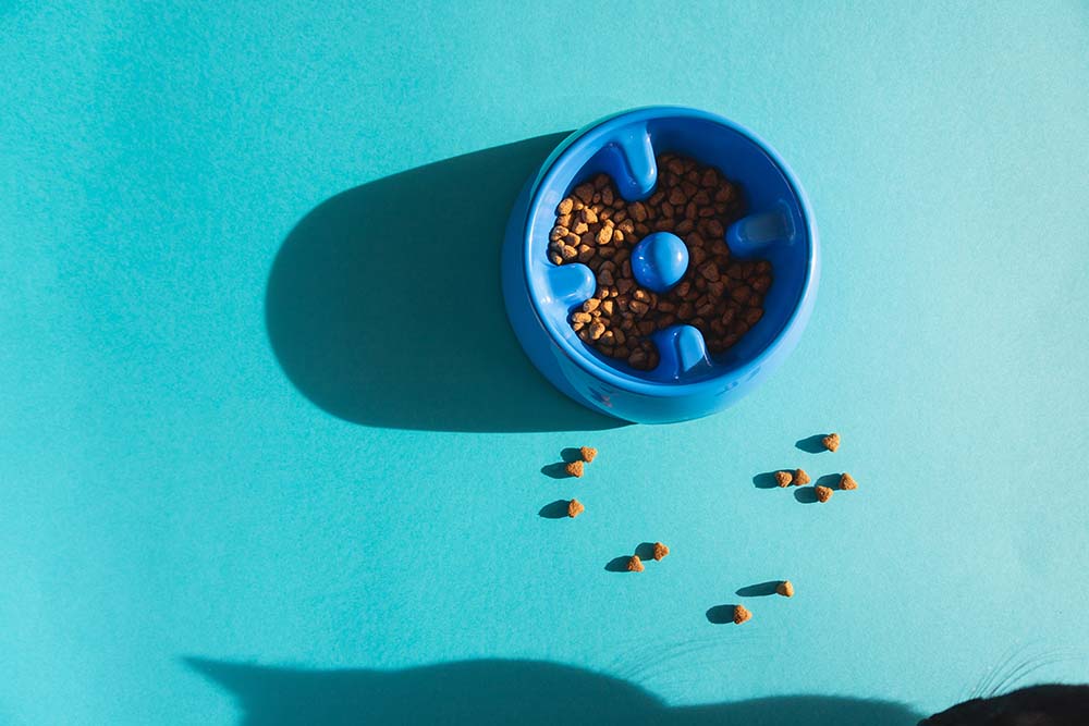 Slow feeding bowl for dogs or cats filled with treats and food