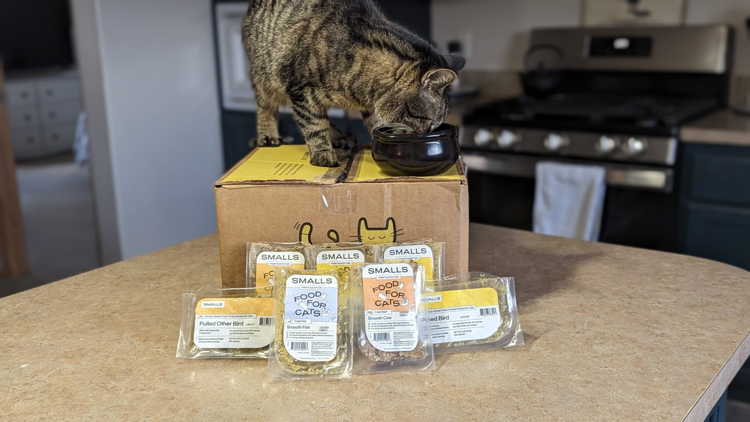 Smalls Fresh Cat Food