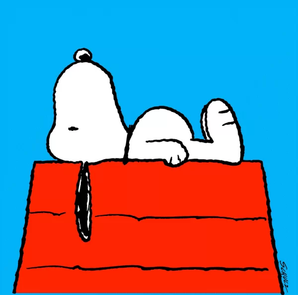 Snoopy Peanuts Worldwide LLC