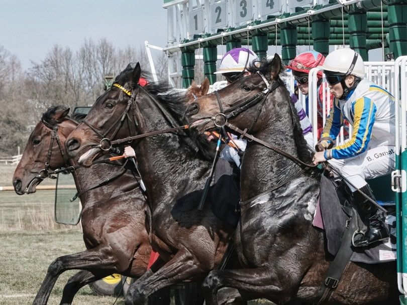 Stakes Horse Race_Piqsels