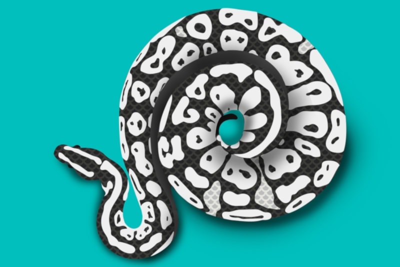 Stormtrooper Ball Python_on blue background