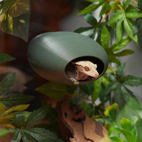 Stroodies BubbleLoft Gecko Hideout, Regular Adult