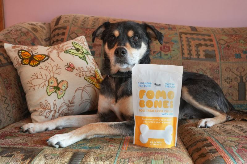 Sunday Scaries FOMO Bones - Elo lying on the sofa with the product