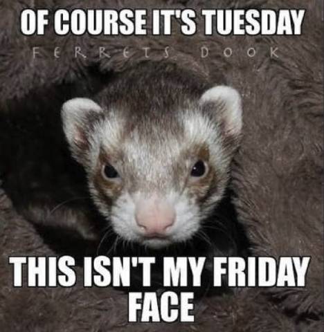 TGIF