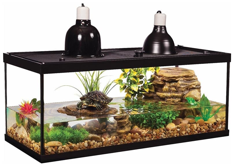 Tetrafauna Aquatic Turtle Deluxe Aquarium Kit, 20-gal