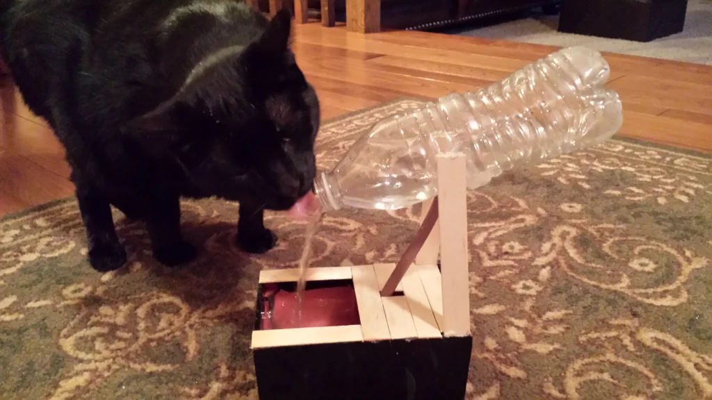 The Budget-Friendly Cat Fountain- instructables