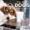 The Dogist: Talking to Dogs