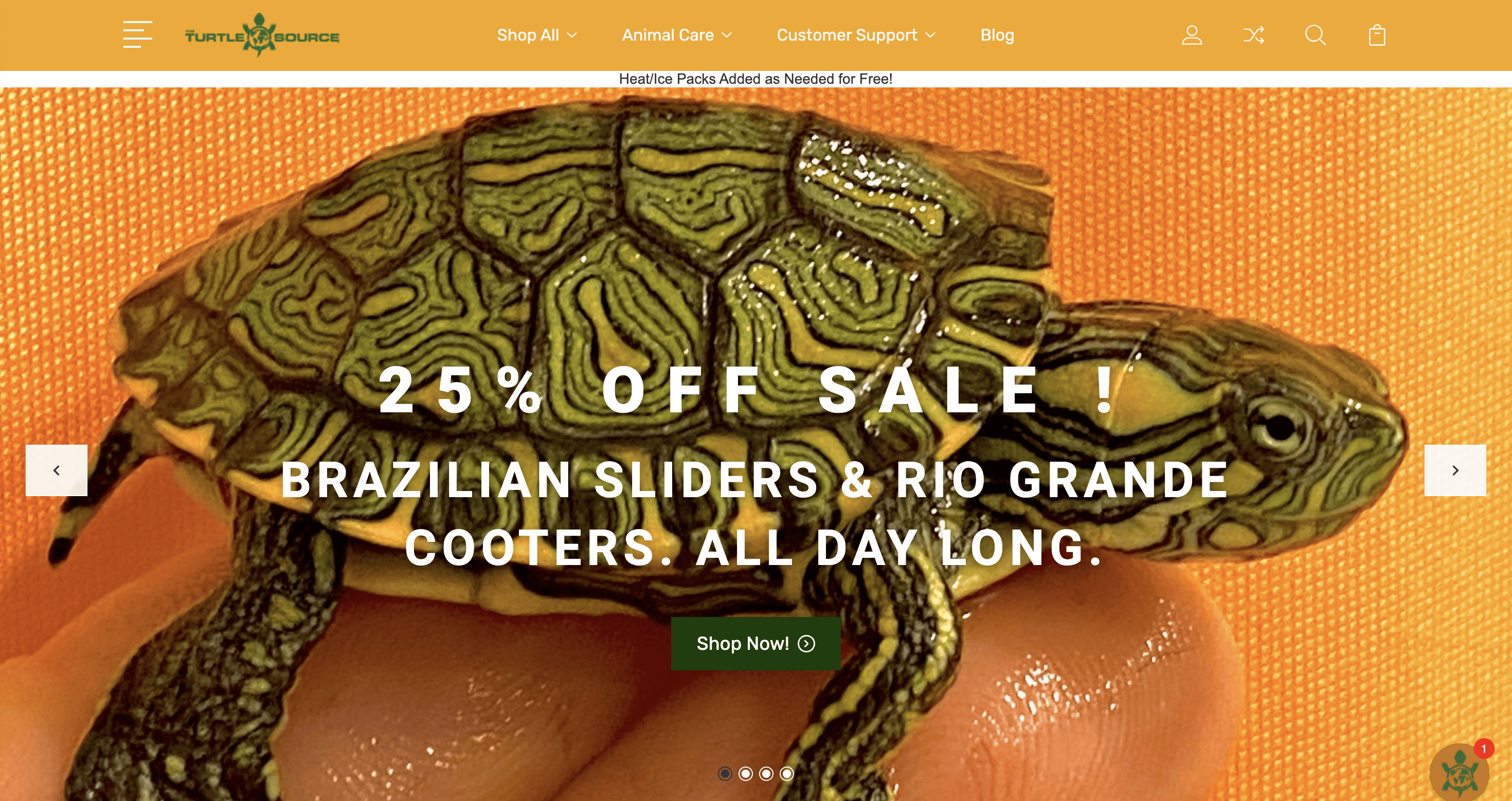 The Turtle Source