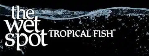 The Wet Spot Tropical Fish logo