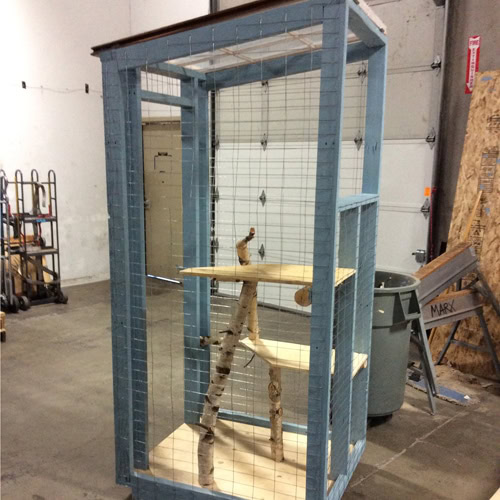 Thrifty Cool Cat Catio