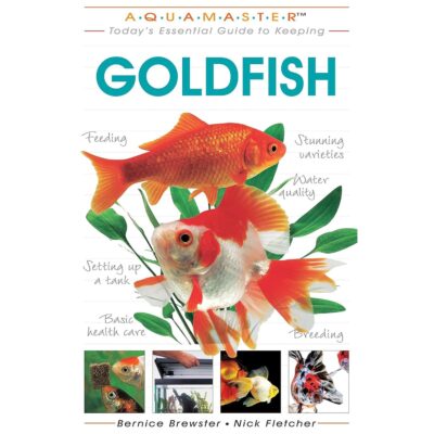 Today’s Essential Guide To Keeping Goldfish