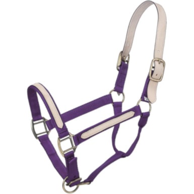 Tough 1 Break-Away Halter
