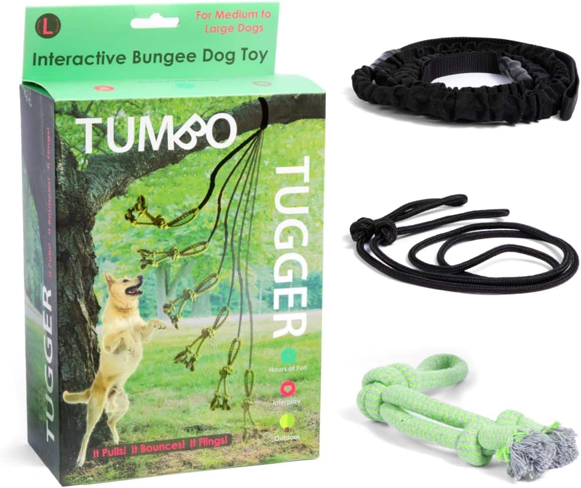 Tumbo Tugger Dog Toy