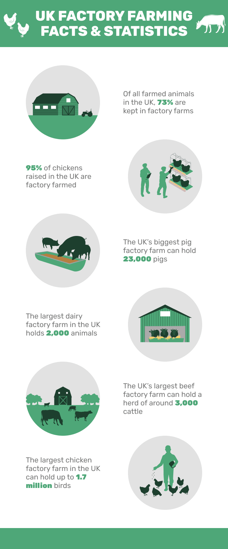 UK_FACTORY_FARMING_FACTS_&_STATISTICS