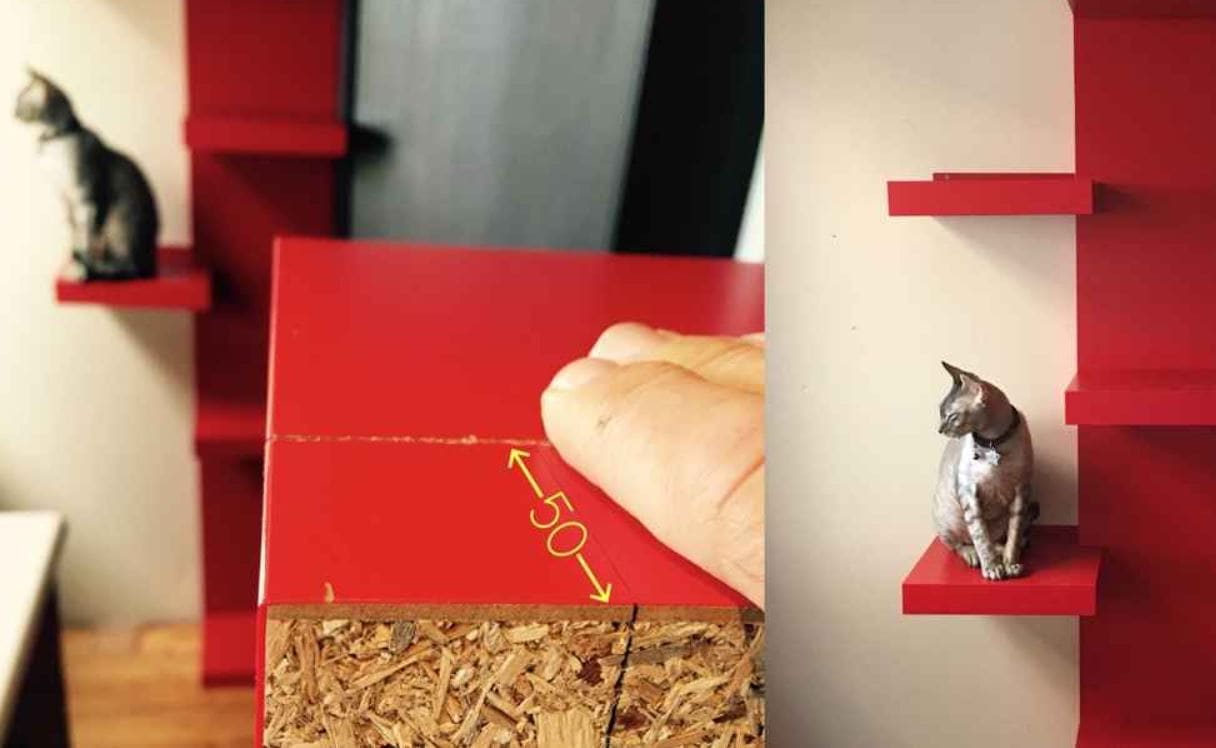 Wakerville Vet DIY Cat Ladder