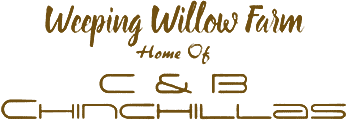 Weeping Willow Farm logo