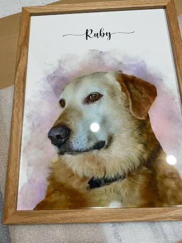 Welham & Co pet portrait