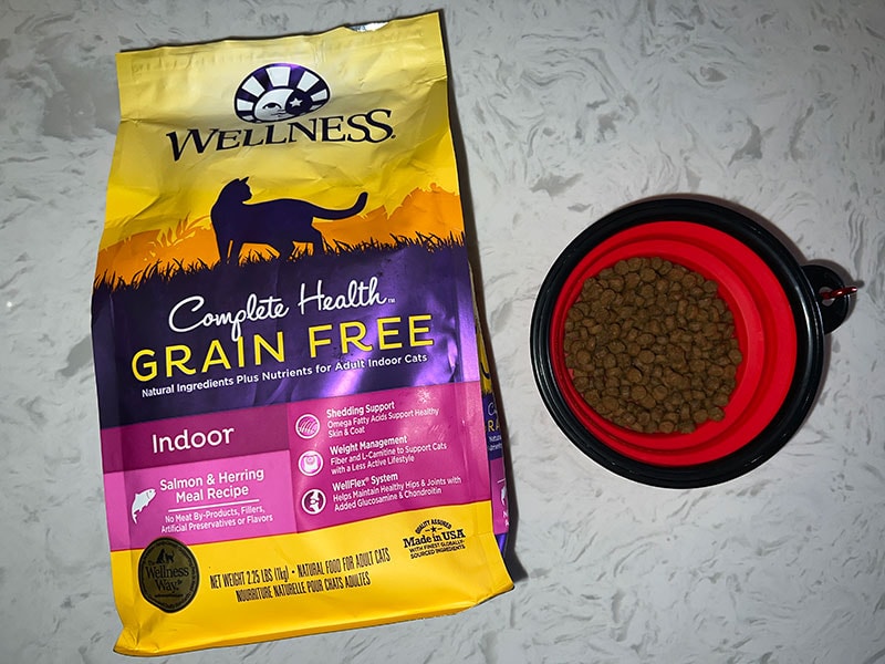 Wellness Complete Health Natural Grain Free Salmon & Herring Indoor Dry Cat Food