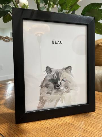 West and Willow pet portrait