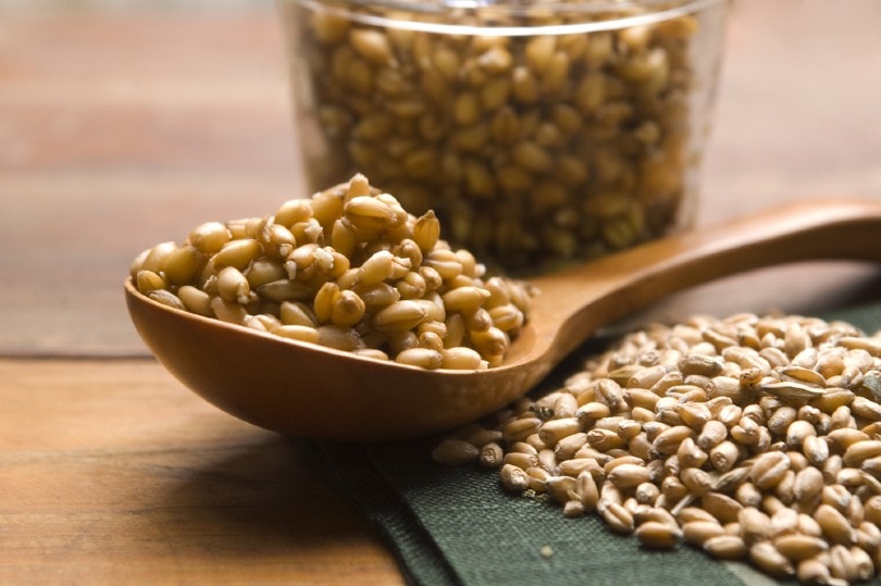 Wheat Germ