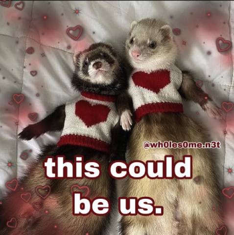 Will You Be My Valentine