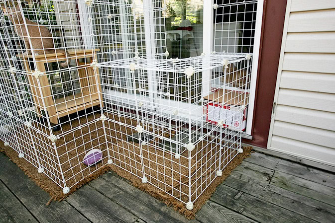 Wire Cat Enclosure