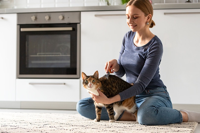 Woman Combing Cat