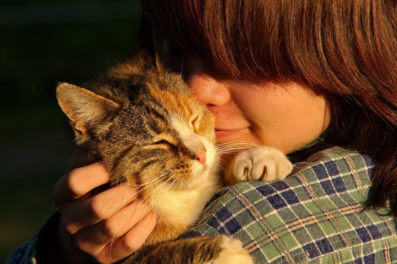 Woman holding a cat