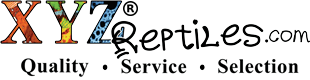XYZ Reptiles