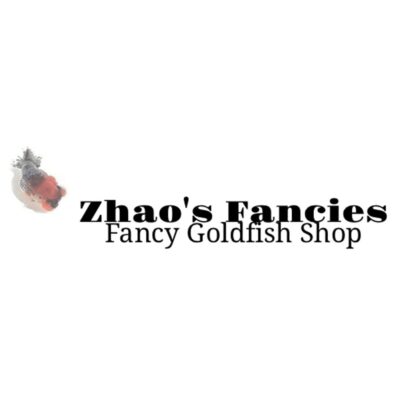 Zhao’s Fancies Fancy Goldfish Shop