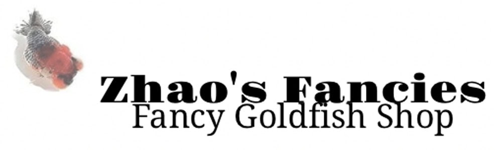 Zhao’s Fancies Fancy Goldfish Shop logo