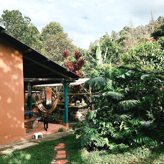 a black dog standing on patio of a house