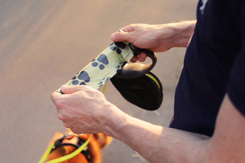 a man holding a poop bag
