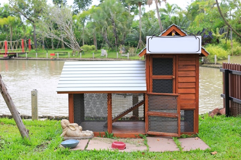 an empty rabbit hutch