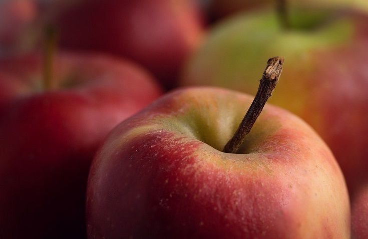apple close up shot