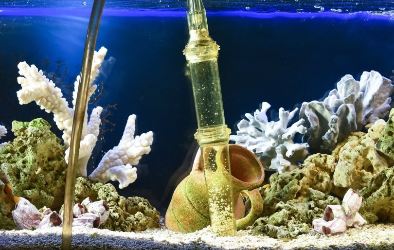 aquarium filter_Andrey_Nikitin_Shutterstock
