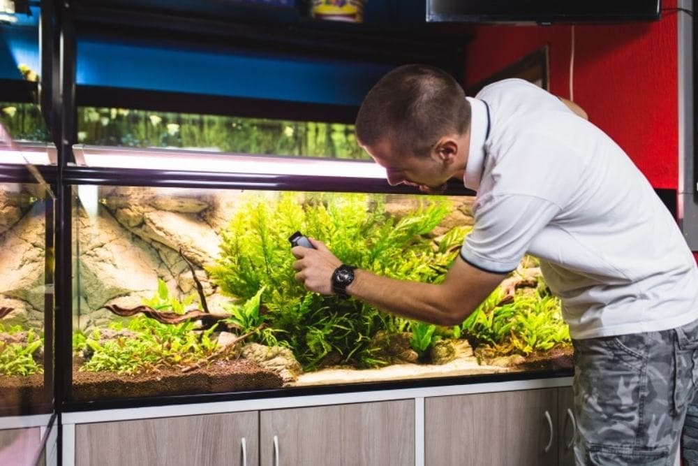 aquarium glass cleaning