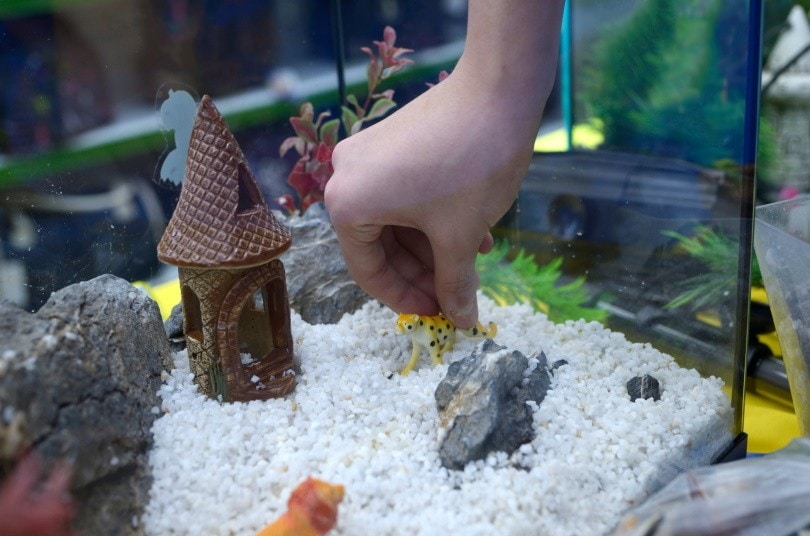 Aquarium set up