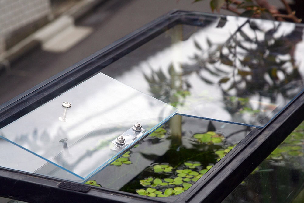 aquarium with acrylic lid