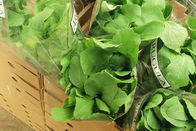 arugula