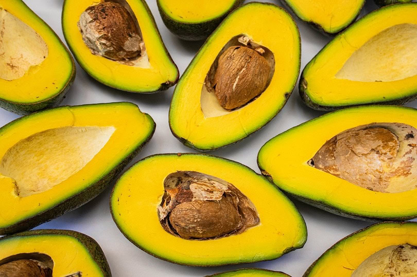 avocado-pixabay