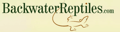backwater reptiles