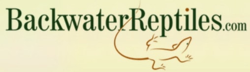 backwaterreptiles
