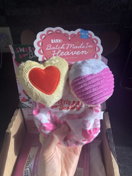 bark box dog toys