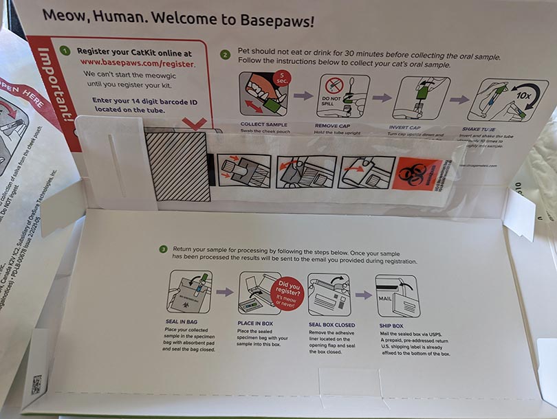 basepaws cat test kit