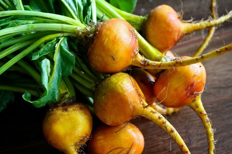 beets_Aline Ponce_Pixabay