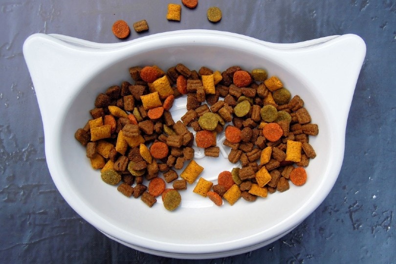 Cat Food in cat size bowl
