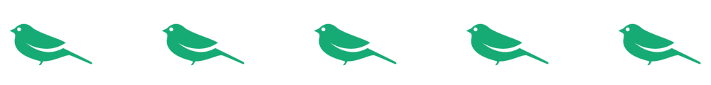 divider-birds