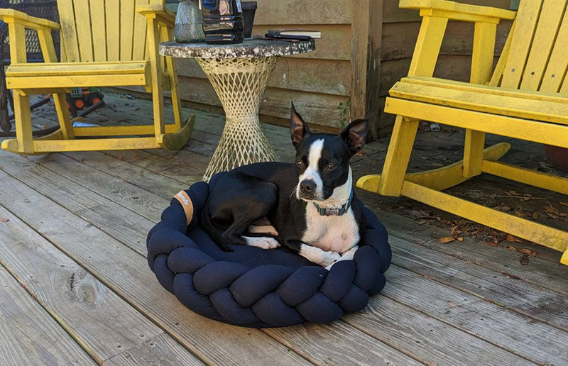 bolt lying on the bearaby pupper pod